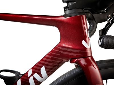 Bicicleta de dama Liv Envi Advanced 2, sangria