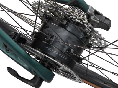 Giant Defy Advanced E+ EL AR electric bike, kelp forest/black