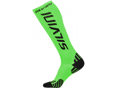SILVINI Casalone compression socks green