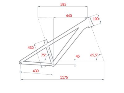 Rower BeFly Salt 29 w kolorze pomarańczowym