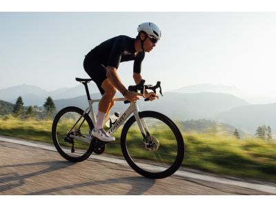 Wilier Filante SL bike, black