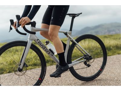 Wilier Granturismo SLR bicycle, gray