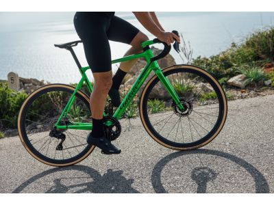 Rower Wilier Verticale SLR, zielony