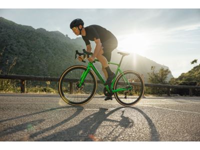 Rower Wilier Verticale SLR, zielony