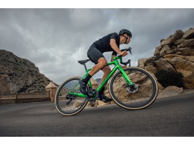Rower Wilier Verticale SLR, zielony