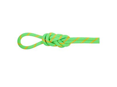 Mammut Alpine Eco Dry lano, 8 mm, zelená