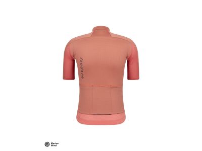 Isadore Signature Merino Tech jersey, cedar wood