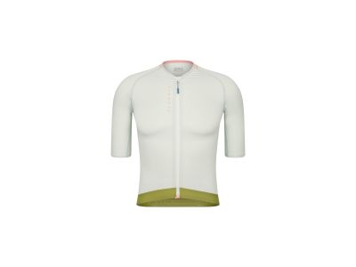 Isadore Alternative jersey, seedling