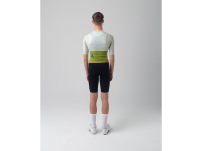 Isadore Alternative jersey, seedling