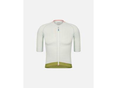 Isadore Alternative jersey, seedling