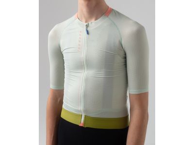 Isadore Alternative jersey, seedling