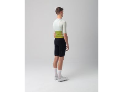 Isadore Alternative jersey, seedling