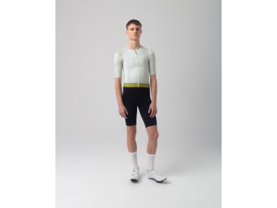 Isadore Alternative jersey, seedling