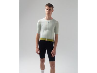 Isadore Alternative jersey, seedling