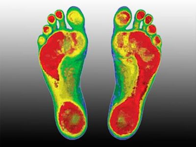 High Point Trek 4.0 socks, black/celery