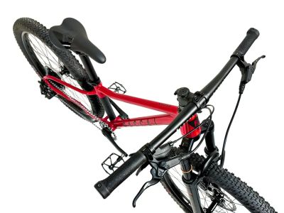 Rascal Wild 24 children&#39;s bike, ruby ​​red