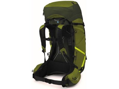 Rucsac Osprey Atmos Ag LT 65, 65 l, vale pitorească/piper verde