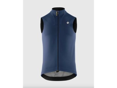 ASSOS MILLE GTS SPRING FALL C2 vesta, Stone blue