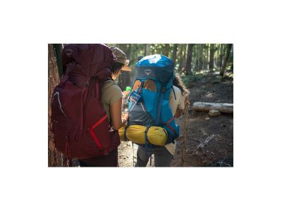 Rucsac Osprey Aura Ag LT 65 pentru femei, 65 l, verde koseret/darjeeling de primăvară