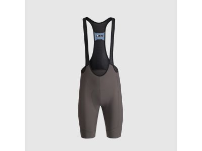 Sportful Colourful Pulse Shorts, grün