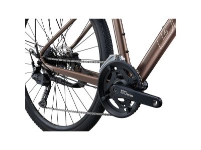 Giant Roam 2 EX 28 kolo, truffle