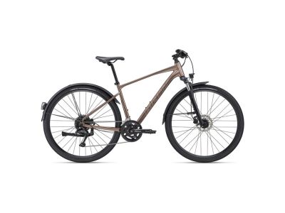Giant Roam 2 EX 28 kolo, truffle
