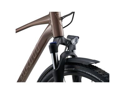 Giant Roam 2 EX 28 kolo, truffle
