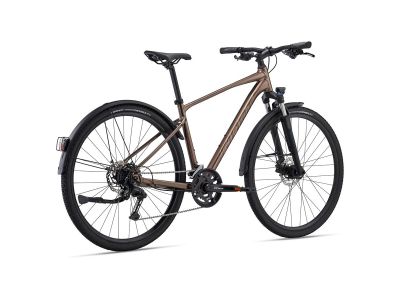 Giant Roam 2 EX 28 kolo, truffle