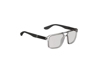 Leatt TheViz Pyrenees okuliare, clear silver/polarized brown/silver