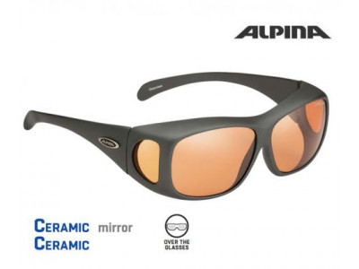 Alpina OVERVIEW titanium glasses