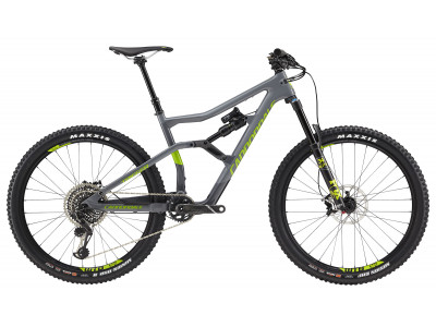 Cannondale Trigger Carbon 2 2018 Mountainbike