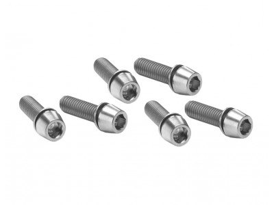 Ritchey screws for C220 stem, 6 pcs, silver