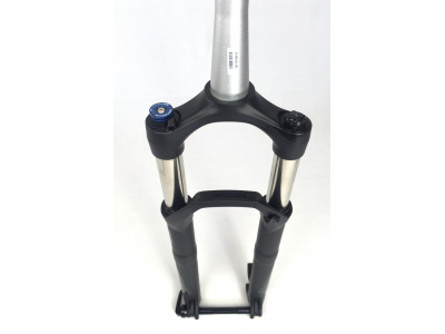 RockShox Recon RL 29 &quot;Boost suspension fork 100 mm black matt / stealth ACTION