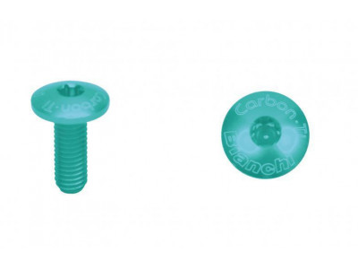 Bianchi Carbon-TI torx screw