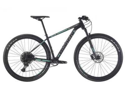 Bianchi Grizzly 29.2 - NX Eagle 1x12sp, model 2019