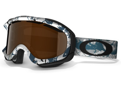 Oakley Ambush ski goggles