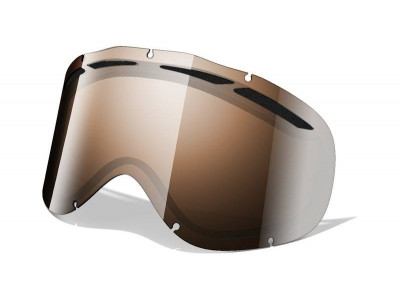 Oakley Ambush Snow Goggle Accessory Lens Black glass