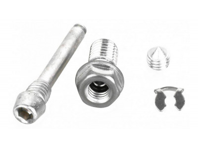 Formula screw set for The One 2012/13 caliper