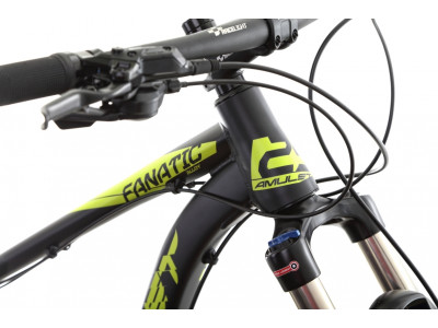 Amulet Fanatic 29 &quot;mountain bike 2018
