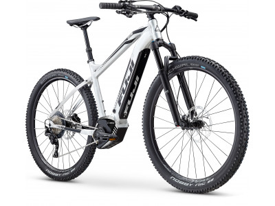 Fuji Ambient EVO 29 1.1 Brushed Raw Aluminum with Black decals, gloss finish, model 2019