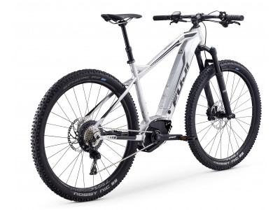 Fuji Ambient EVO 29 1.1 Brushed Raw Aluminum with Black decals, gloss finish, model 2019