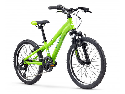 Fuji Dynamite 20, Kinder, Modell 2020, grün