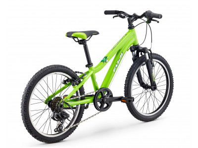 Fuji Dynamite 20, Kinder, Modell 2020, grün