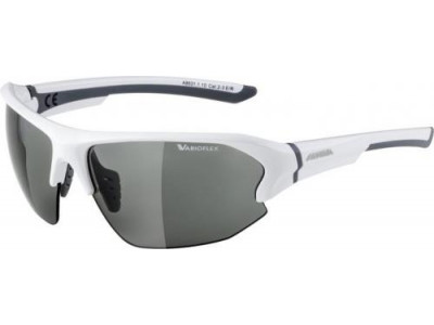 Alpina glasses LYRON HR VL white-gray