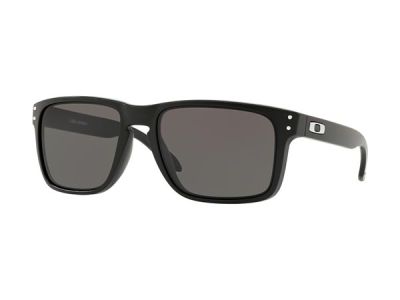 Oakley Holbrook XL glasses, matte black/Warm Grey
