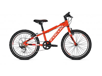 Focus Raven Rookie 20 2019 Bicicleta rosie pentru copii