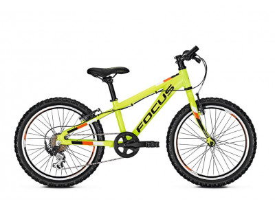 Focus Raven Rookie 20 2019 Bicicleta verde pentru copii
