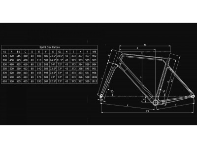 Bianchi Sprint Disc Ultegra 11sp Kompakt