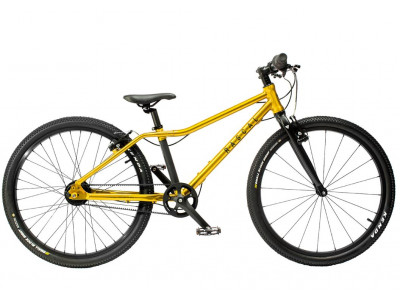 Rascal 24 Golddetský bicykel 2020