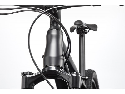 Bicicleta de munte Cannondale Trail 29 1 GDF 2020
